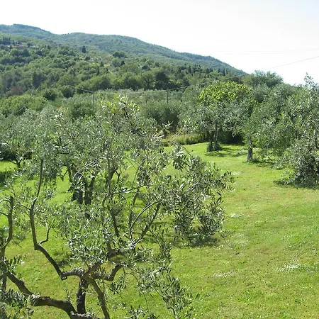 Podere Tipertoli * Figline Valdarno
