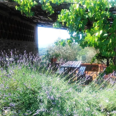 Landhaus Podere Tipertoli Figline Valdarno